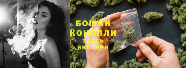 сатива Белоозёрский