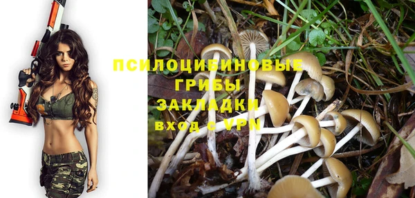 дурь Белокуриха