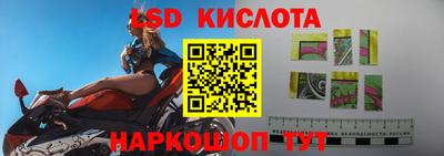 прущие грибы Апшеронск